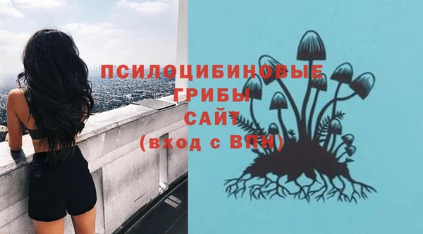 MDMA Алексеевка