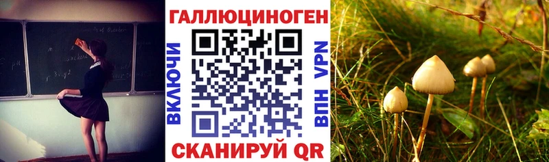 купить  цена  omg зеркало  Галлюциногенные грибы ЛСД  Электрогорск 
