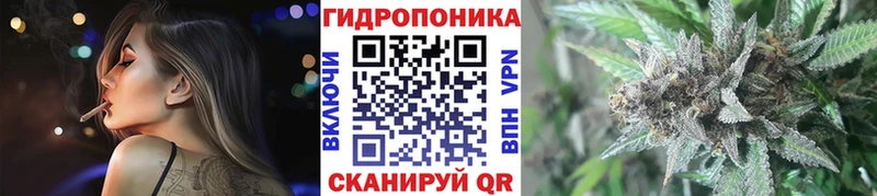 закладки  Электрогорск  Марихуана план 